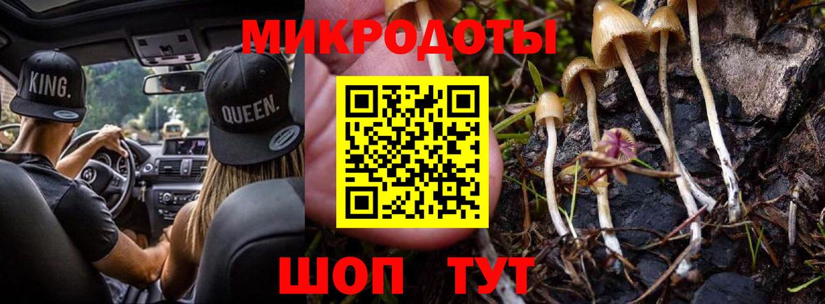 Губаха  закладки  Вход с VPN  Псилоцибиновые грибы Psilocybine cubensis  Псилоцибиновые грибы Magic Shrooms 